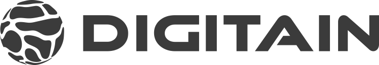 digitain - gray